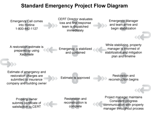 emergency flow diagram